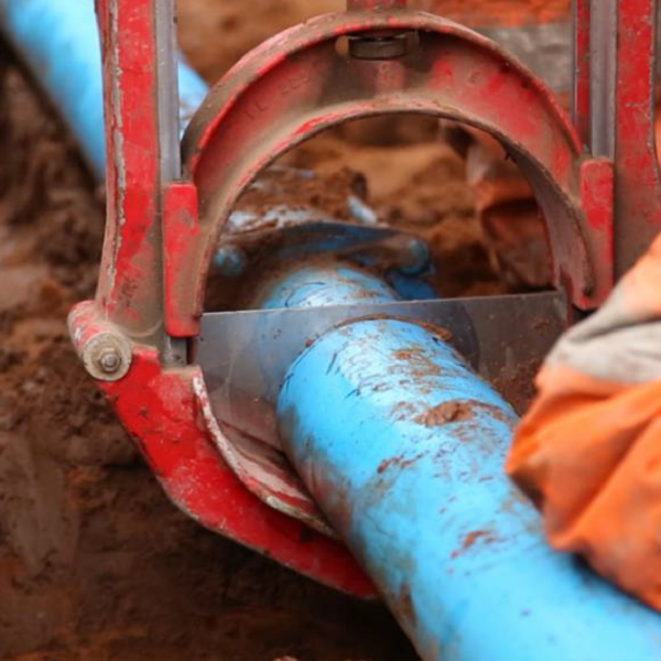 Pipe Dream a reality as pipe performance secrets unearthed